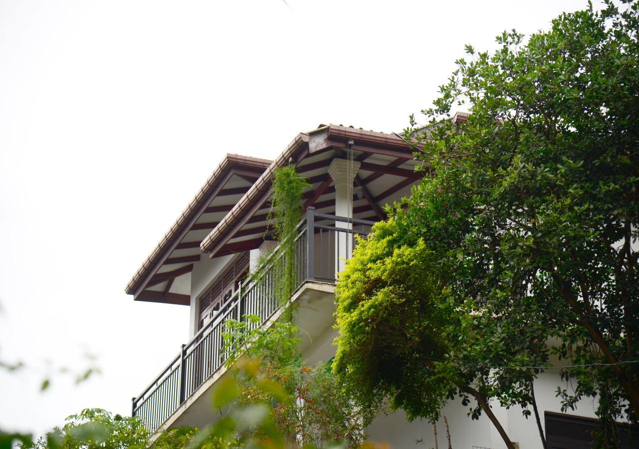 Dreamscape Home Stay Kandy Kültér fotó